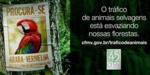 comercio-ilegal-de-animais-silvestres